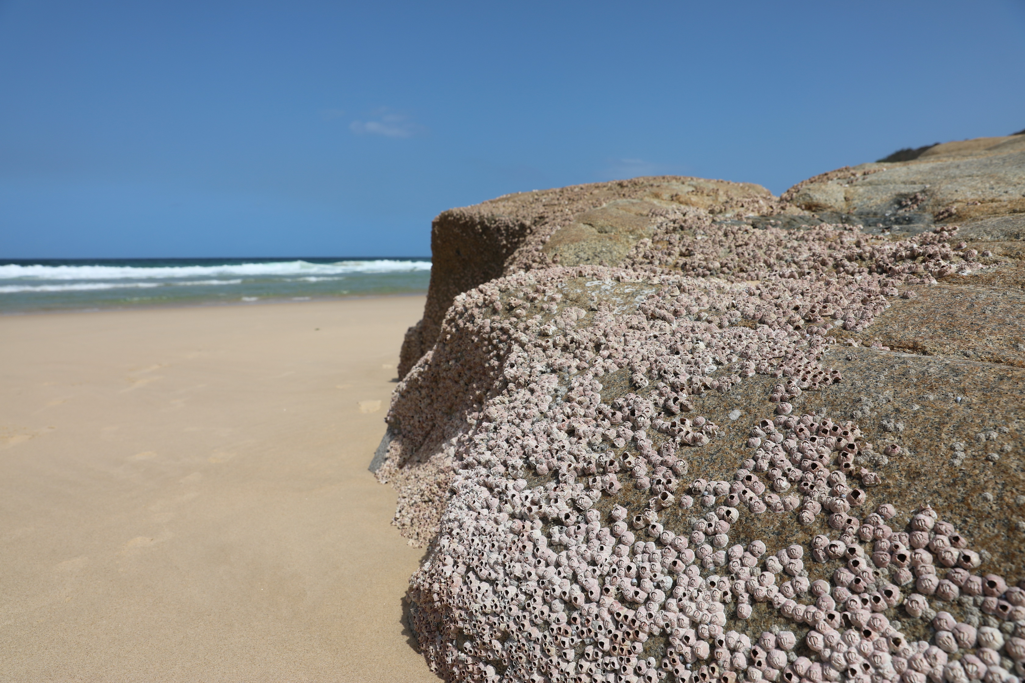 Little Bay Picnic Area
